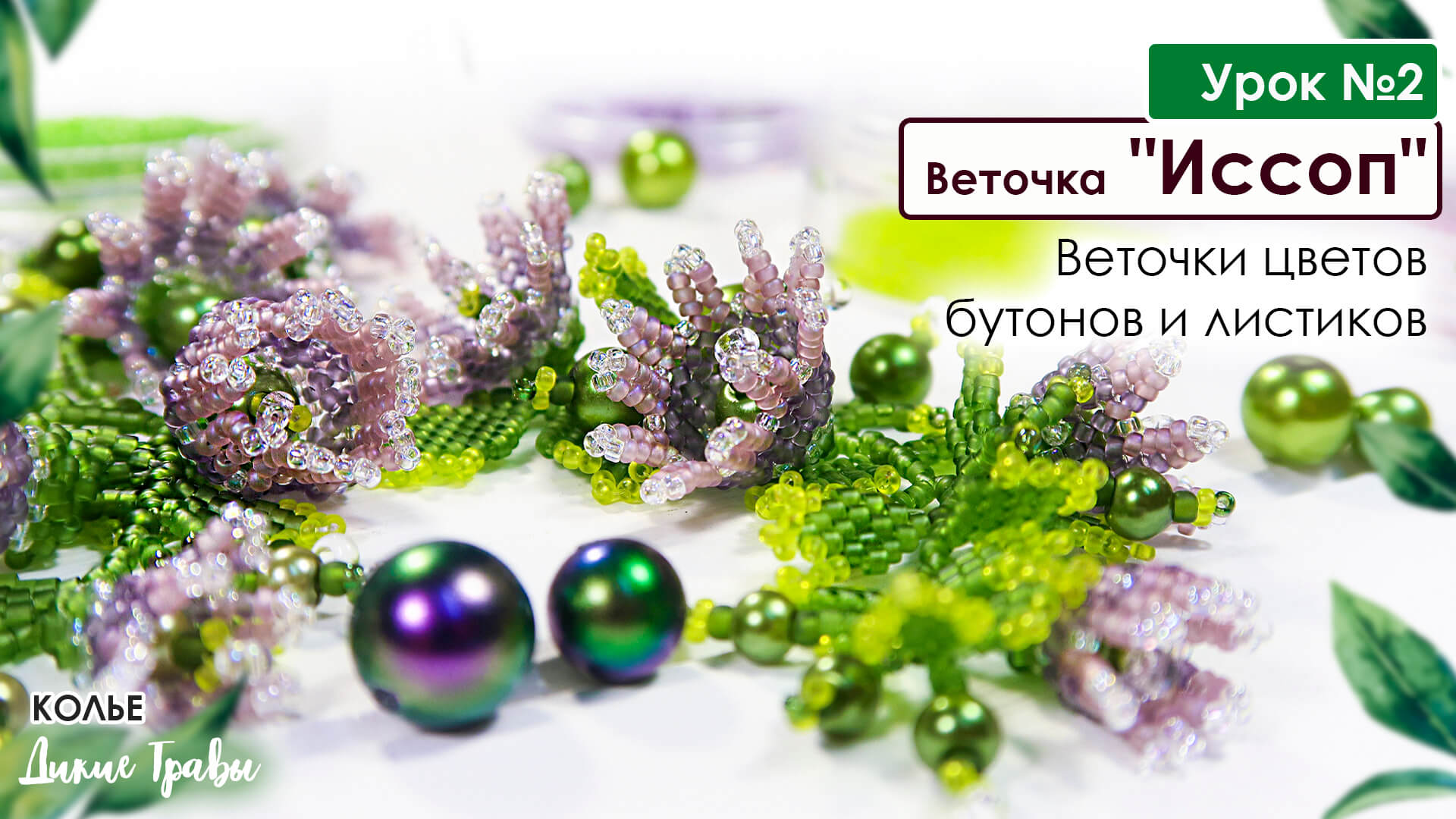 Веточки иссопа